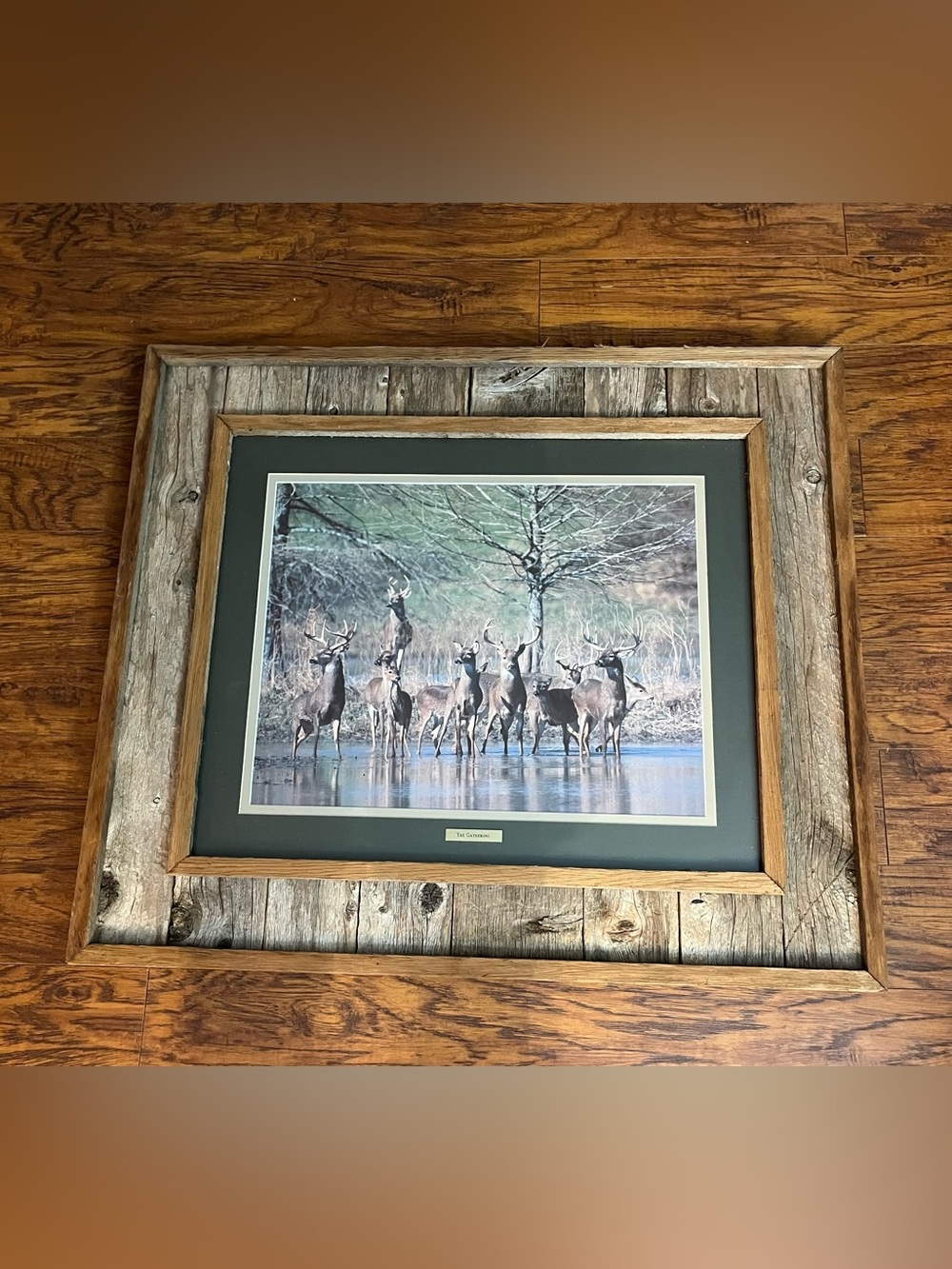 “The Gathering” Whitetail Deer Standing Near a Shallow Tank Edge